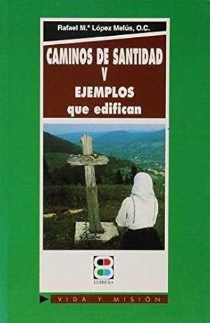 Imagen del vendedor de Caminos de santidad V a la venta por Imosver