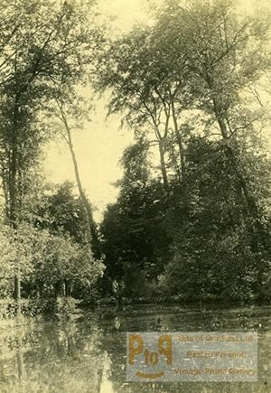 Tahiti Photographic study Trees & River old Photo 1910's