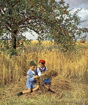 Germany During he Harvest Old Autochrome on Paper from Hans Hildenbrand 1910