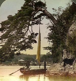 Seller image for Japan Matsushima Bay Pine & Sailboat Old Stereoview Photo Underwood 1904 for sale by Bits of Our Past Ltd