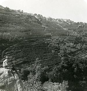 Middle East Syria View of Lebanon Old NPG Stereo Photo 1900