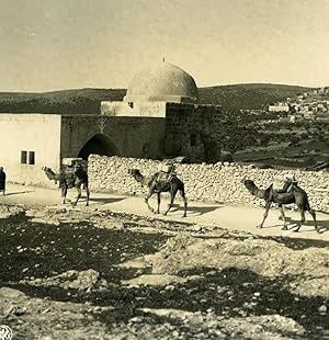 Middle East Palestine Bethlehem Rachel's Tomb Camels Old NPG Stereo Photo 1900