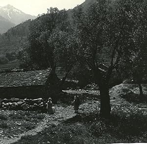 Seller image for France Corsica Corte around Tavignano Citadel old Stereoview Photo 1920 for sale by Bits of Our Past Ltd