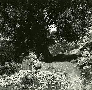 Seller image for France Corsica Corte around Tavignano Citadel old Stereoview Photo 1920 for sale by Bits of Our Past Ltd