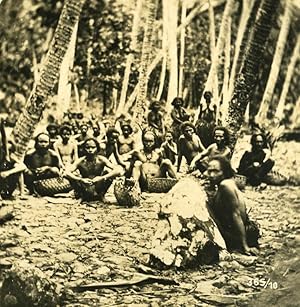 Caroline Islands Coconuts Crops Old Stereo Photo Kurt Boeck 1900