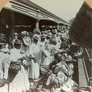 Jamaica Kingston Victoria Market Old Stereo Photo Stereoview Graves 1900