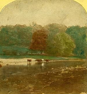 United Kingdom Landscape near Bolton Abbey Hand Colored Stereoview Photo 1860