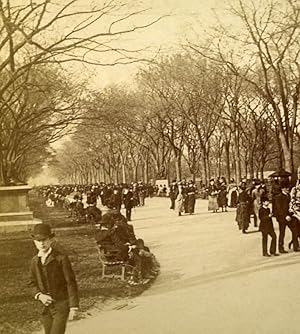 Imagen del vendedor de USA New York Central Park The Mall Old Stereoview Photo Campbell 1896 a la venta por Bits of Our Past Ltd