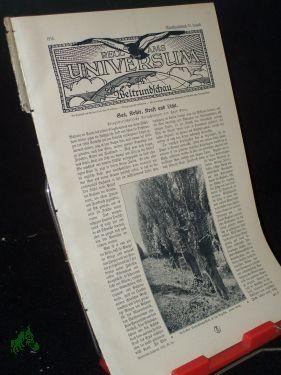 Image du vendeur pour August 1916, Gas, Kohle, Kraft und Licht mis en vente par Antiquariat Artemis Lorenz & Lorenz GbR