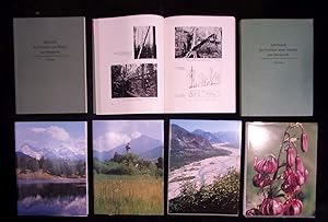 Seller image for 31 Ausgaben des Jahrbuches des Vereins zum Schutz der Bergwelt Alpen, Berge, Naturschutz, Flora, Fauna for sale by ANTIQUARIAT Franke BRUDDENBOOKS