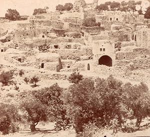 Bethanie Panorama Palestine old Stereo Photo 1900'