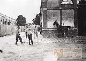 Veterinary Hospital Horses WWI Military scene war Photo