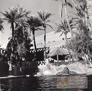 Water Oasis Palm tree Beni Abbes Algeria old Photo 1940