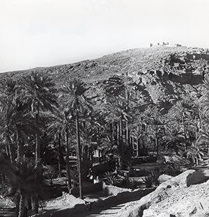 Oasis Beni Abbes Panorama Algeria old Photo 1940