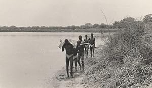 Attilio Gatti African Expedition AEF Natives back from Hunting Old Photo 1936