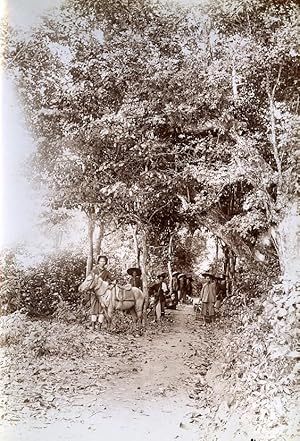 Road Cong Chua to Ban Dan Indochina Vietnam Old Photo Tong Sing 1895