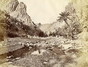 Algeria Sahara Oasis Old Photo 1890