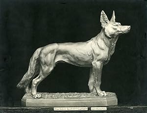 France Paris Art Deco Cadran Workshop Bartelletti Standing Dog Old Photo 1930