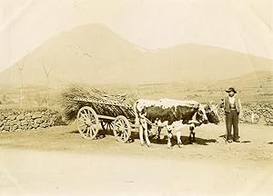 France Auvergne Clermont Ferrand Peasant Oxcart Old Photo 1890