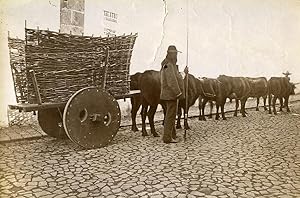 Portugal Azores Sao Miguel Ponta Delgada Ox Cart Old Photo Raposo 1890