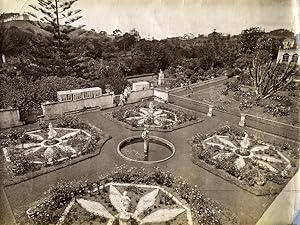 Portugal Azores Sao Miguel Ponta Delgada Count Botelho Gardens Photo Raposo 1890