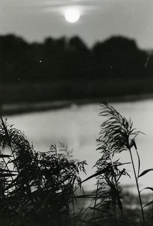 Seller image for France Sunset Landscape Lake Cane Grass Nature Amateur Photography 1970's for sale by Bits of Our Past Ltd