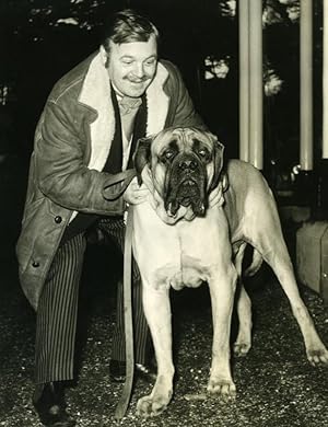 Patrick Wymark English Mastiffs Dog BBC TV Studios Mickleham Press Photo 1965