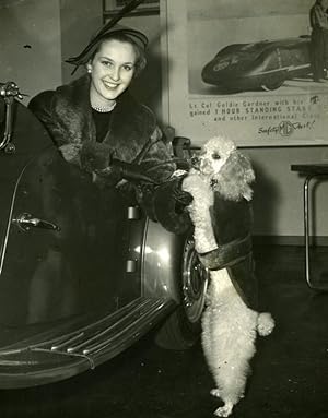 Katie Boyle at Motor Show Fashion Poodle Dog Nuffield Place Old Press Photo 1951
