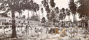 Colombia Cartagena Cemetery Palm Trees old GJ Becker Photo 1910's