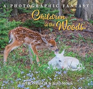 Image du vendeur pour Children in the Woods mis en vente par GreatBookPrices