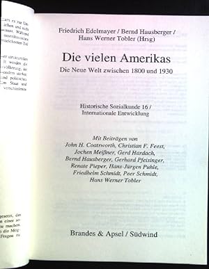 Seller image for Die vielen Amerikas: Die Neue Welt zwischen 1800 und 1930. Journal fr Entwicklungspolitik / Ergnzungsband ; 8; Historische Sozialkunde / Internationale Entwicklung ; 16 for sale by books4less (Versandantiquariat Petra Gros GmbH & Co. KG)