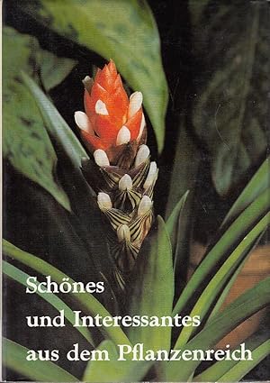 Seller image for Schnes und Interessantes aus dem Pflanzenreich : entdeckt im Botan. Garten d. Martin-Luther-Univ. Halle-Wittenberg in Halle (Saale). for sale by Antiquariat Jterbook, Inh. H. Schulze