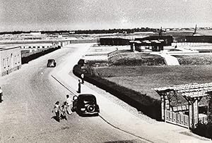 WWII Basra Airport Iraq Axis British War WW2 Photo 1941