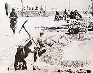 WWII Captured Germans Digging Trench WW2 old Photo 1941