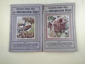 Schreibers Kleiner Atlas der Einheimische Vögel - Heft 1 und Heft 2.