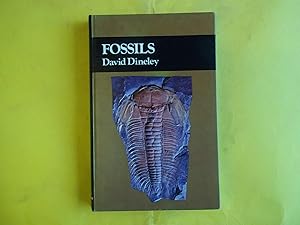 Seller image for Fossils (Countryside) for sale by Carmarthenshire Rare Books