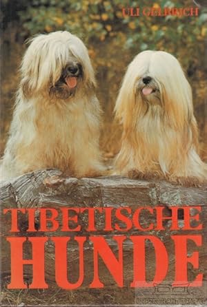 Tibetische Hunde