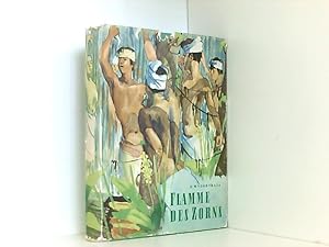 R.Wygodskaja: Flamme des Zorns. Die Geschichte des Eduard Dekker. Abenteuerroman aus Niederländis...