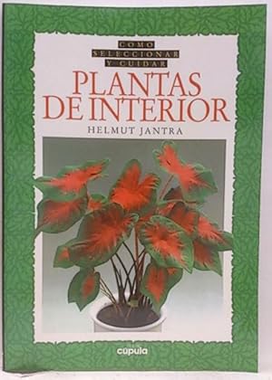 Cómo Seleccionar Y Cuidar Plantas De Interior