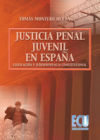 La justicia penal juvenil en España : legislación y jurisprudencia constitucional