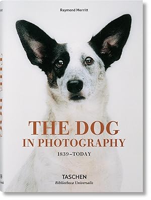 The dog in photography. 1839 - today