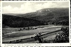 Seller image for Ansichtskarte / Postkarte Hessisch Oldendorf an der Weser, Hohenstein, Im Vordergrund die Pappmhle, Panoramaansicht for sale by akpool GmbH