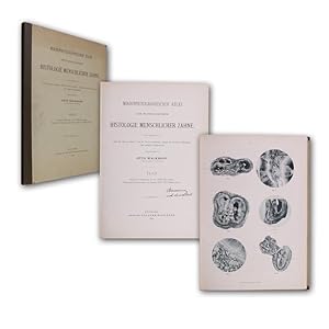 Bild des Verkufers fr Mikrophotographischer Atlas der pathologischen Histologie menschlicher Zhne. zum Verkauf von Antiquariat Gerhard Gruber