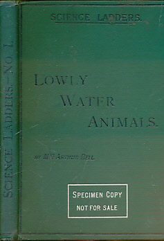 Seller image for Lowly Water Animals [Science Ladders 1] for sale by Barter Books Ltd
