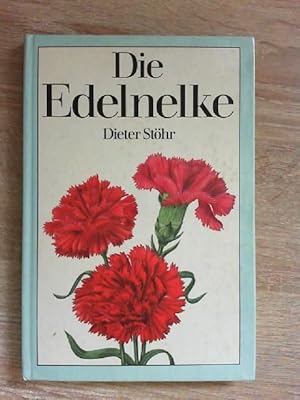 Die Edelnelke