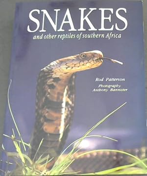 Immagine del venditore per Snakes and Other Reptiles of Southern Africa venduto da Chapter 1