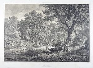 Waldpartie bei Fünfkirchen in Ungarn. Tonlithographie von und nach J. Varrone (links unten in der...