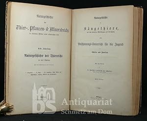 Naturgeschichte des Thier-, Pflanzen- & Mineralreichs in colorirten Bildern nebst erläuterndem Te...