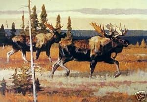 Heading for Cover - Moose ** Fine Signed Limited Edition Print