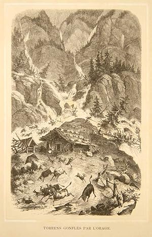 Seller image for Les Alpes. Description pittoresque de la nature et de la faune alpestres. Seule traduction autorise par l'auteur. for sale by Harteveld Rare Books Ltd.